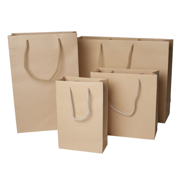 Kraft bag (6)